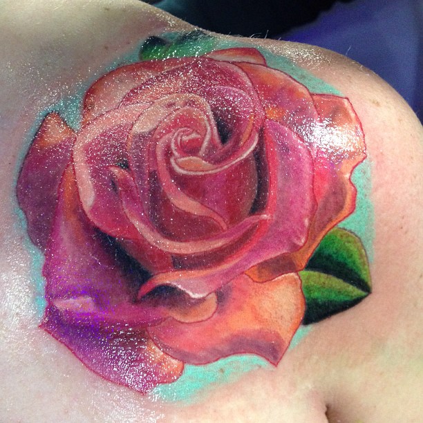 Flower, Rose, Nature