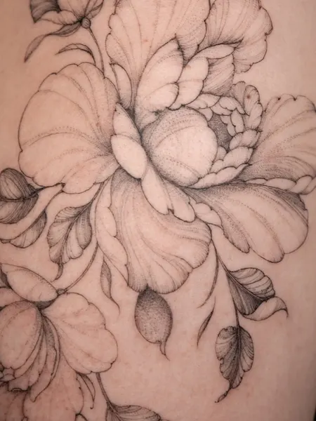 Flower, Rose, Nature