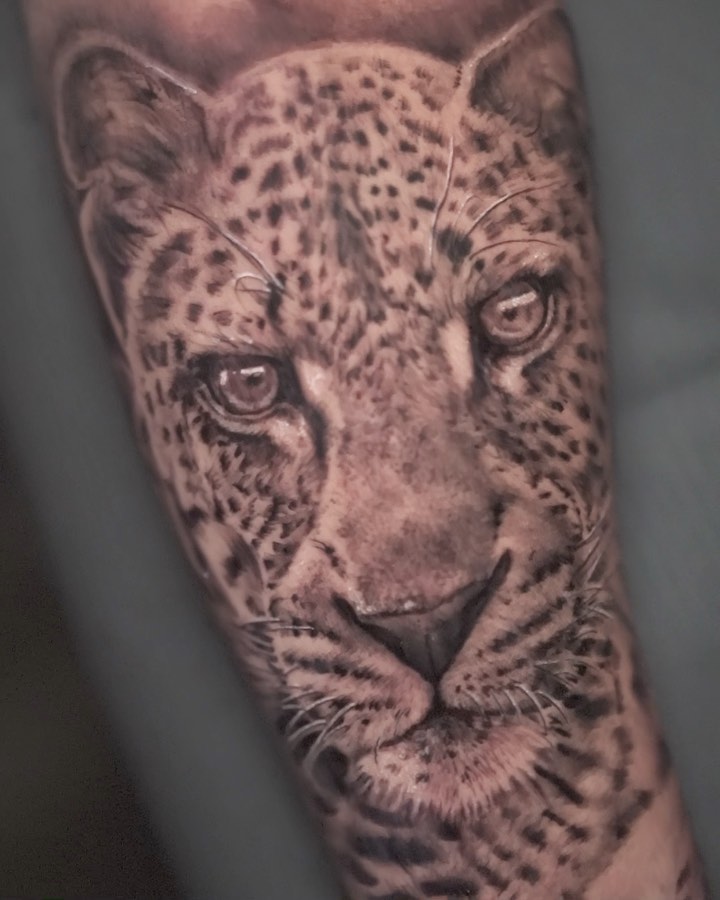 Animal, 치타, 표범, 재규어