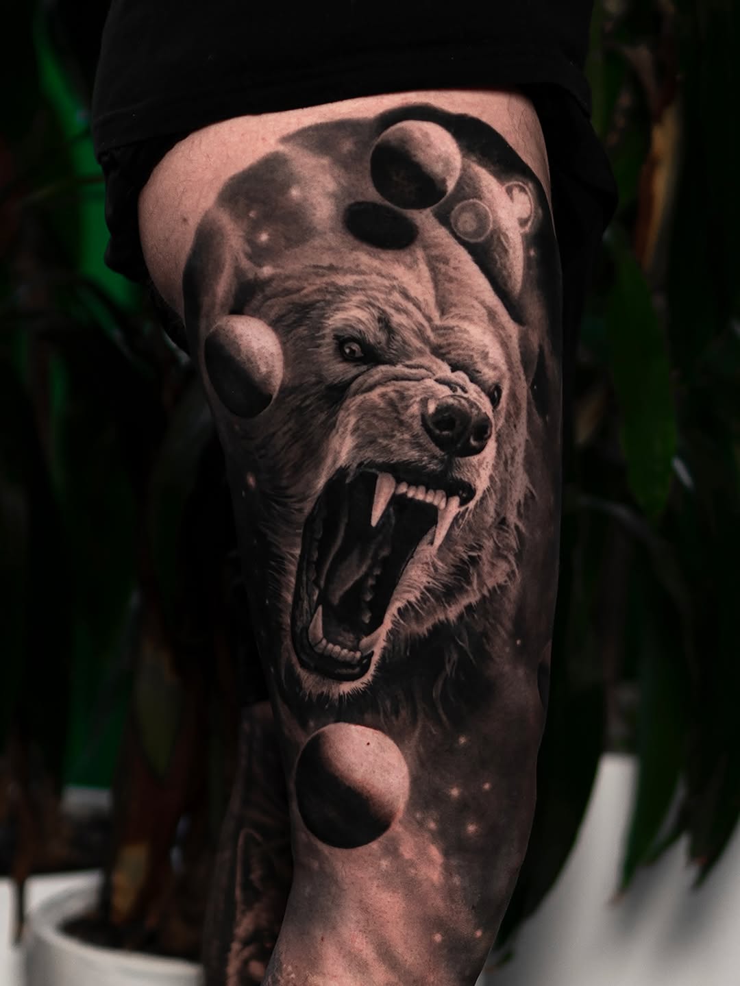 Animal