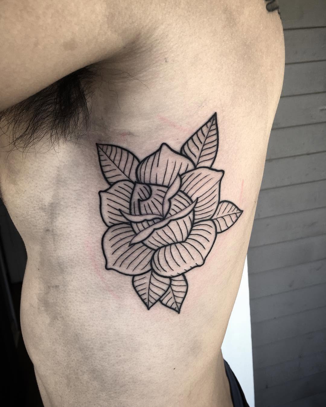 Flower, Rose, Nature