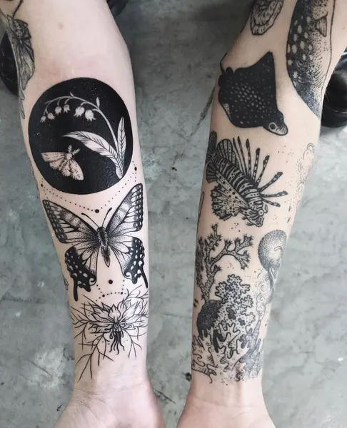Animal, Nature