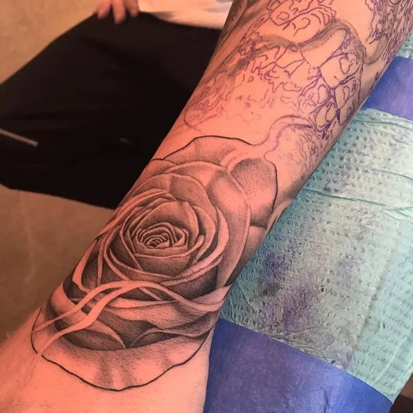 Flower, Rose