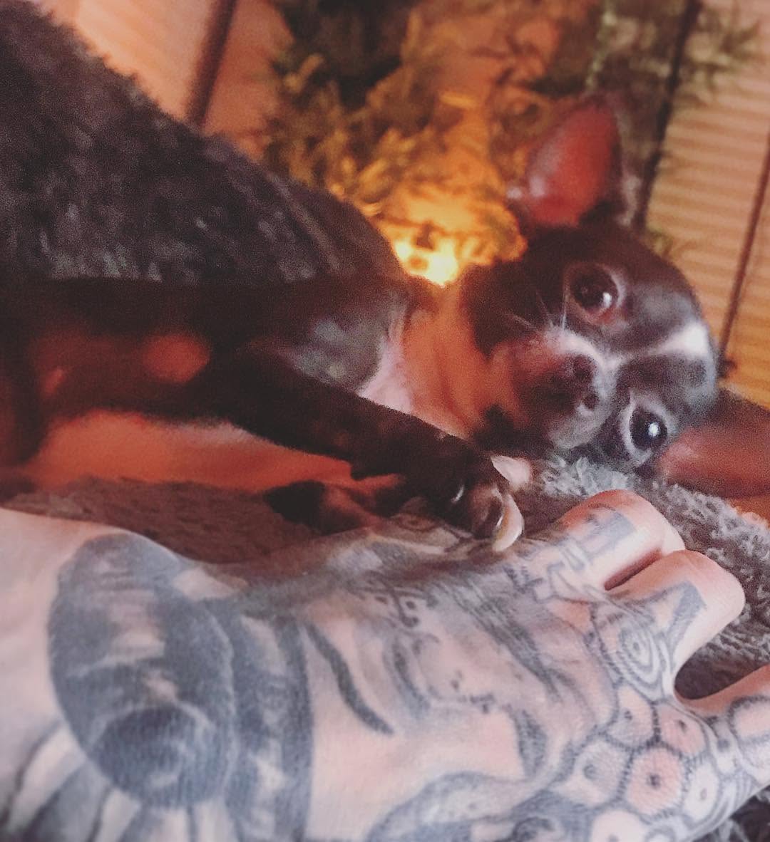 Sloo Tattoos
