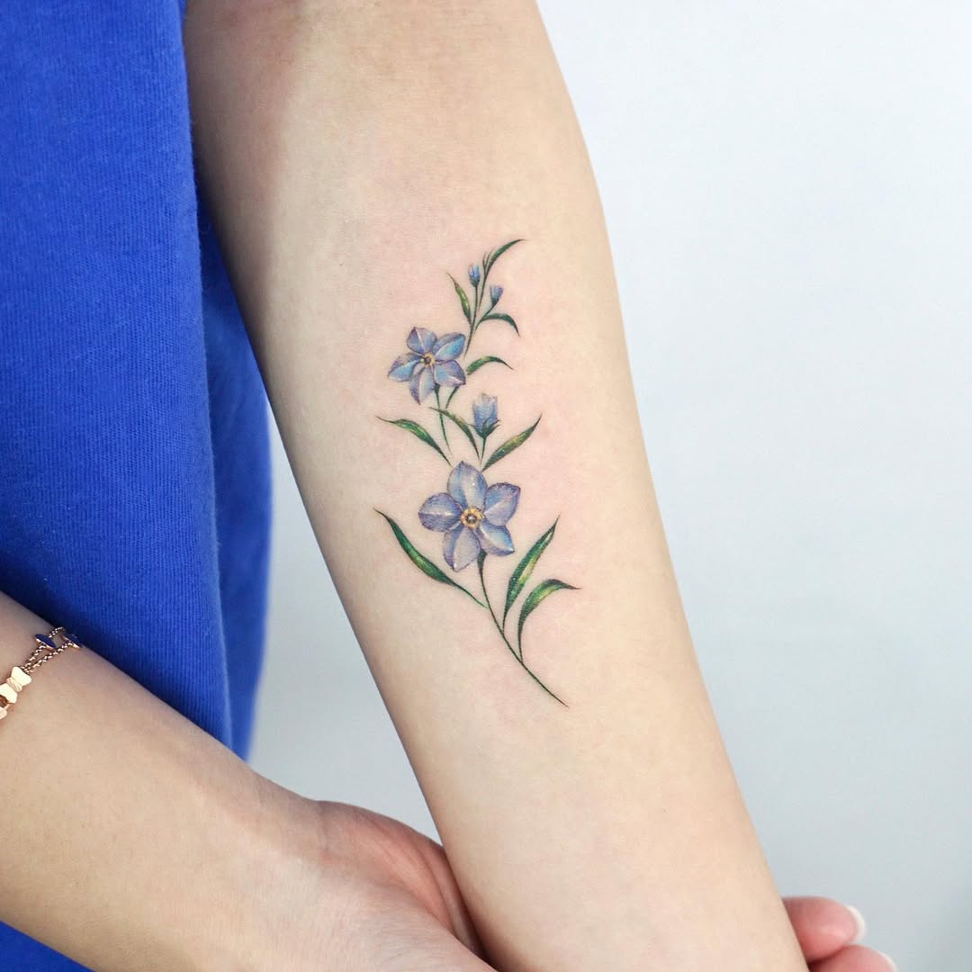 Flower, 모란, 백합, 수국, 튤립, 허브, 야생화, 아이리스, 카네이션, 난초, 수선화