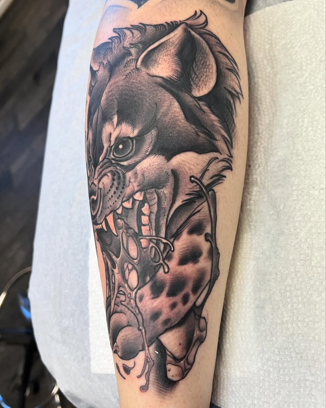 Tiger
