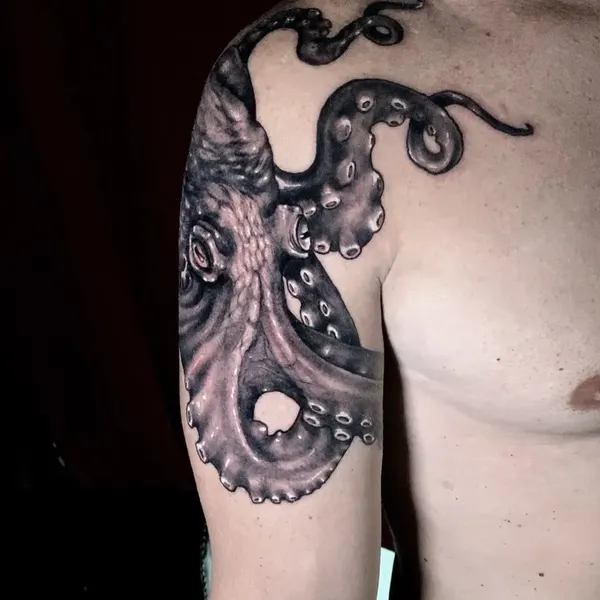 Animal, 크라켄, 문어