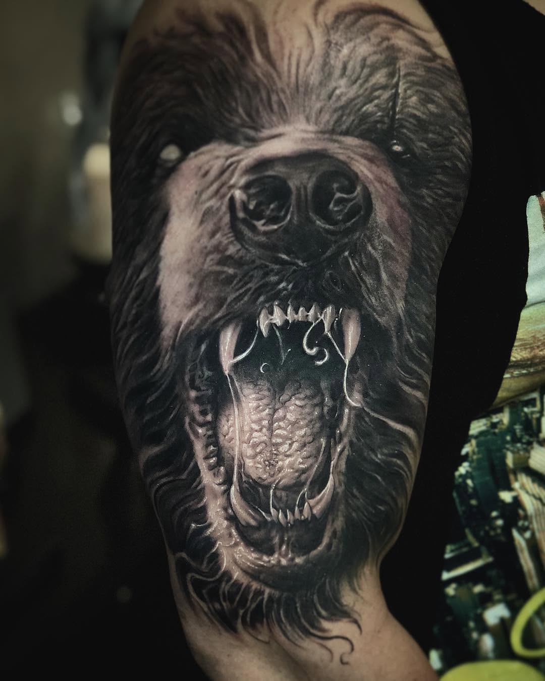 Animal, 고릴라