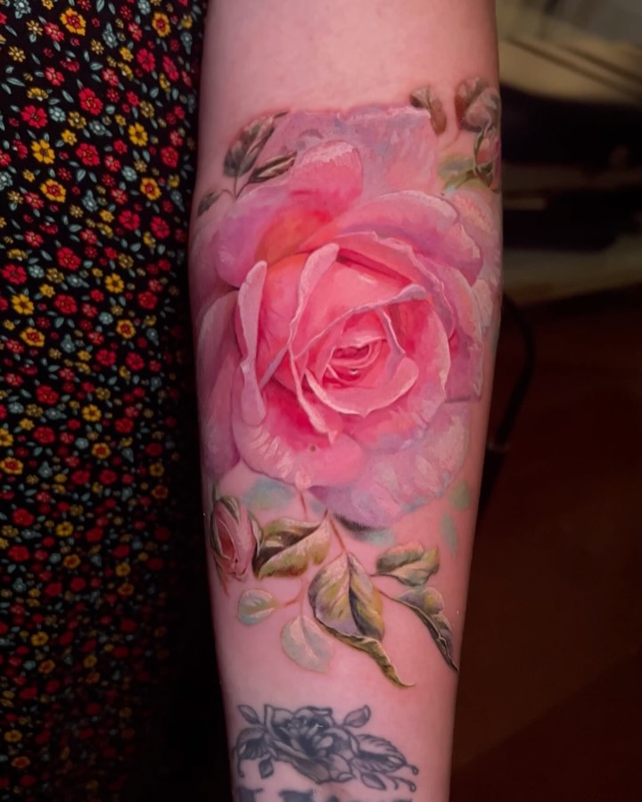 Flower, Rose, Nature