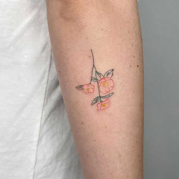 Rose, Flower, 벚꽃, 카네이션, 수선화