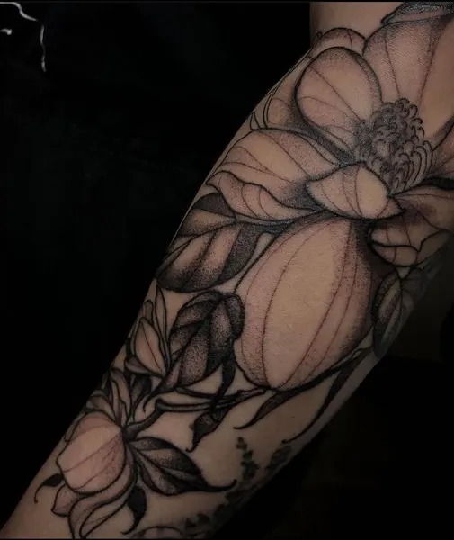 Flower, Rose, 목련