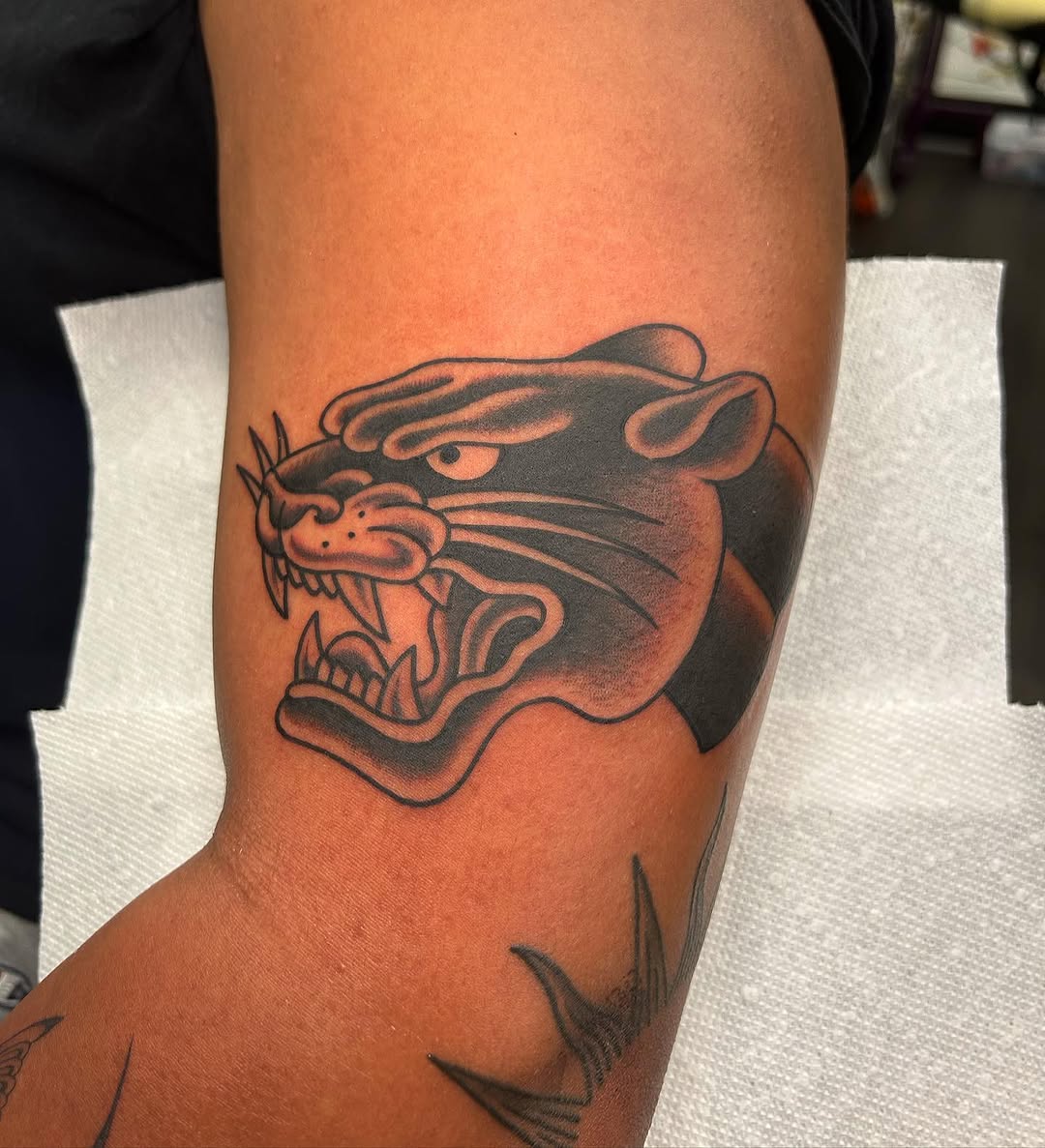 Tiger, Animal