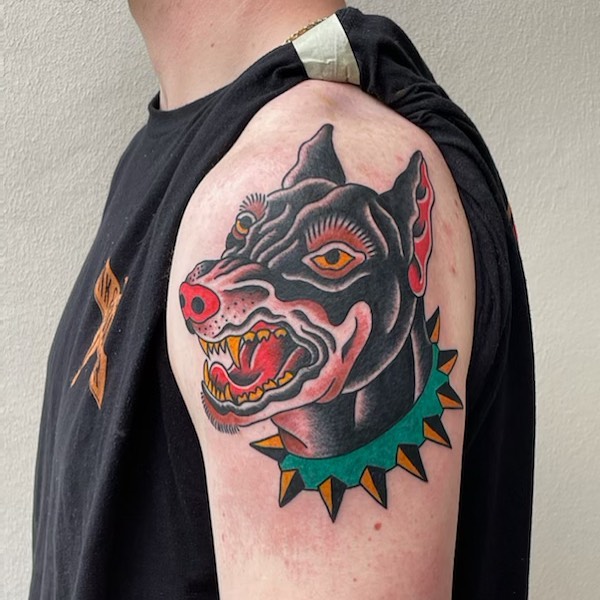 Tiger, Animal