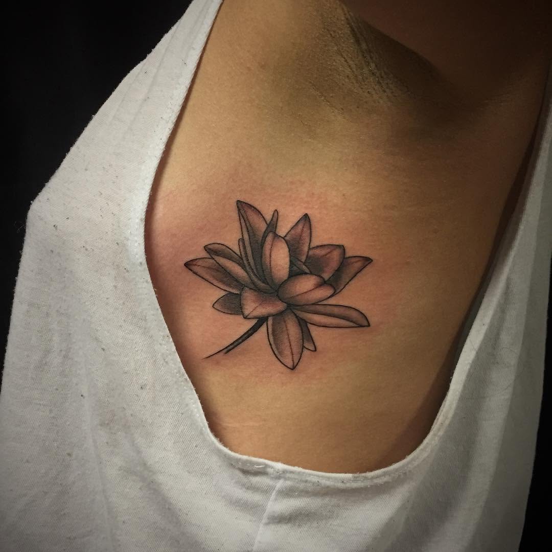 Flower, 연꽃, 국화, 한국 연꽃