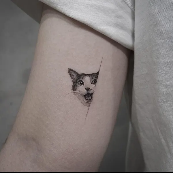 너구리, 여우 가면