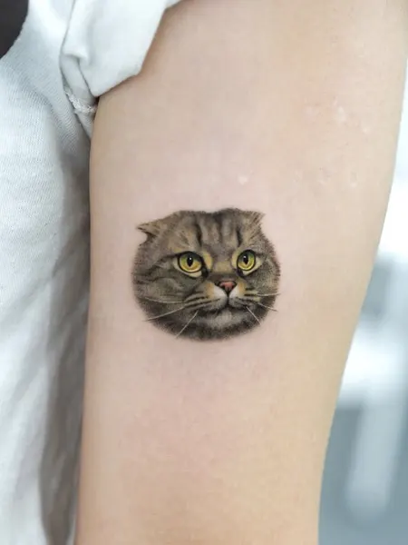 고양이