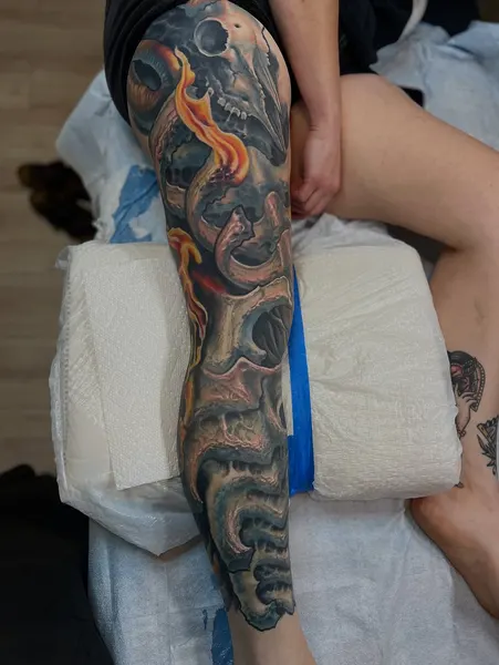 Dragon, Animal