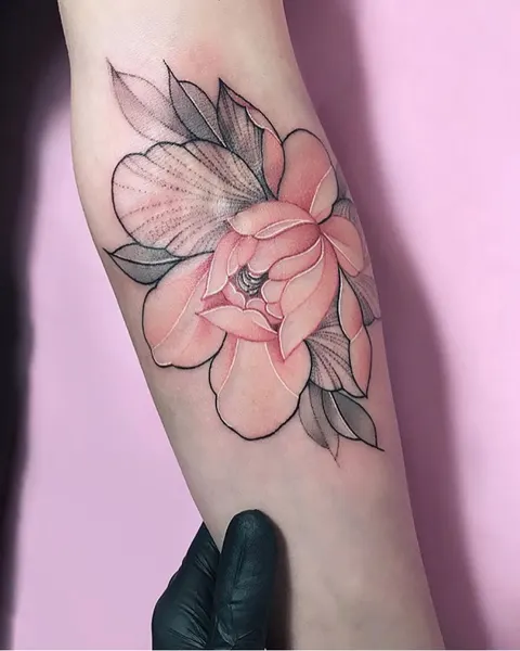 Flower, Rose, 모란, 목련