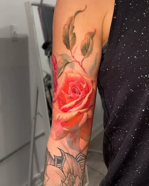 Flower, Rose, Nature