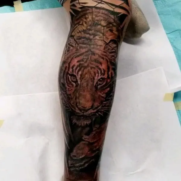 Tiger
