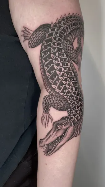 Dragon, 악어