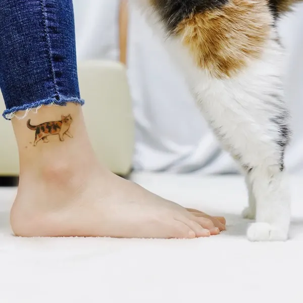 soltattoo