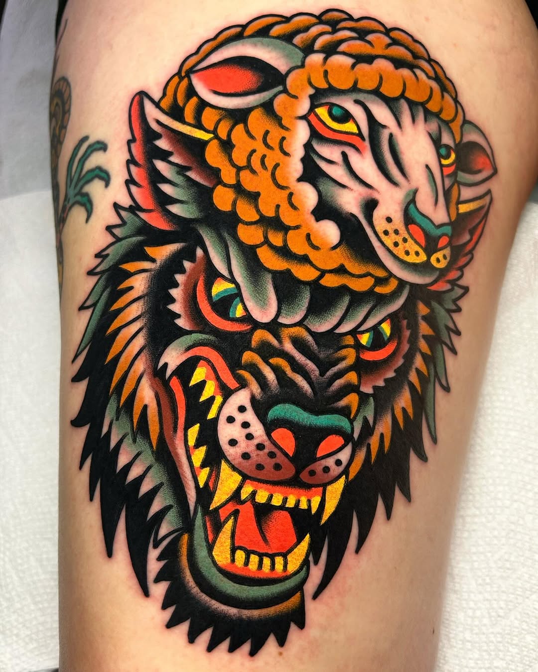 Tiger, Animal