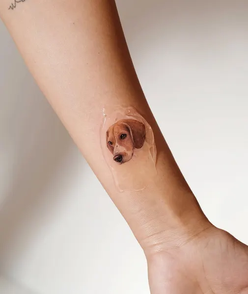강아지, 반려동물