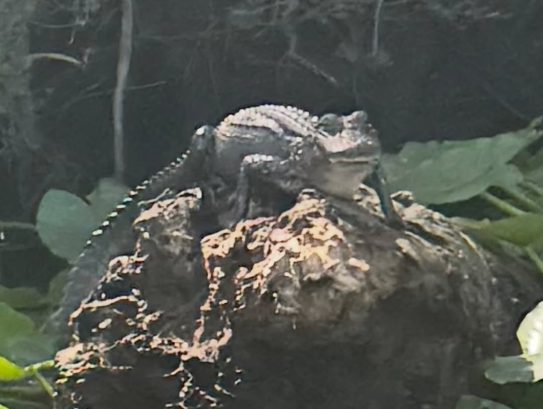 danny.b_tattoos