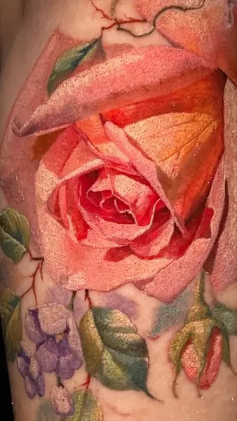 Flower, Rose