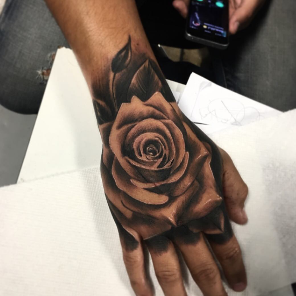 Flower, Rose