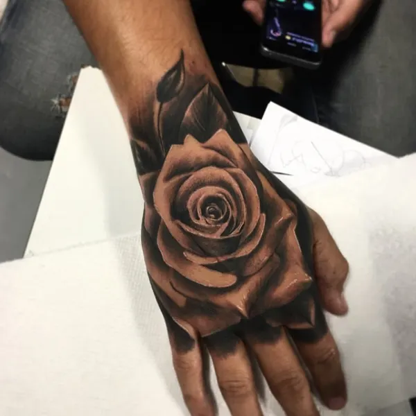 Flower, Rose