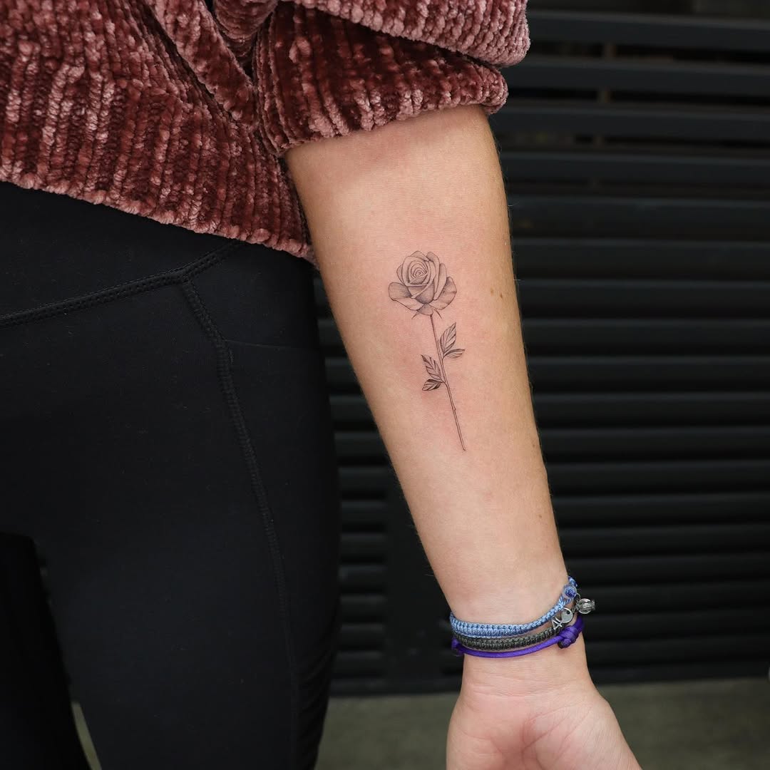 Flower, Rose