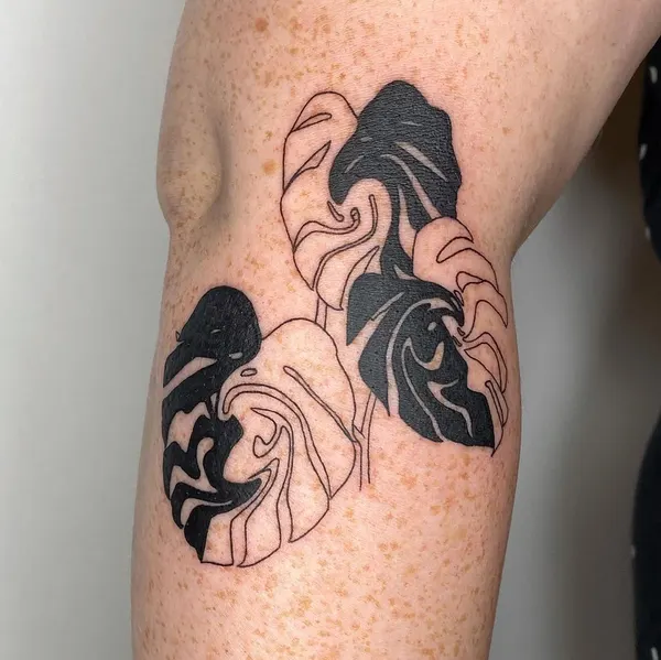 plantsnpokes