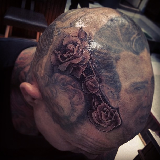 Flower, Rose