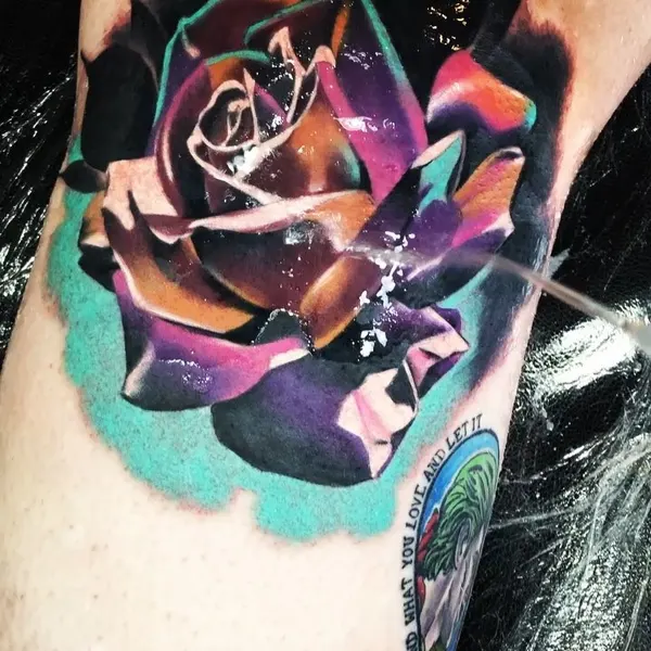 Flower, Rose
