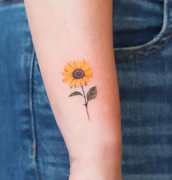 Flower, 해바라기