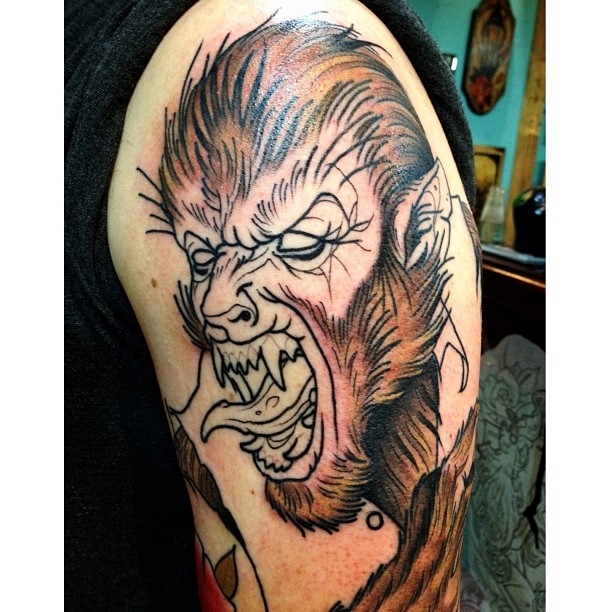 Tiger, Animal