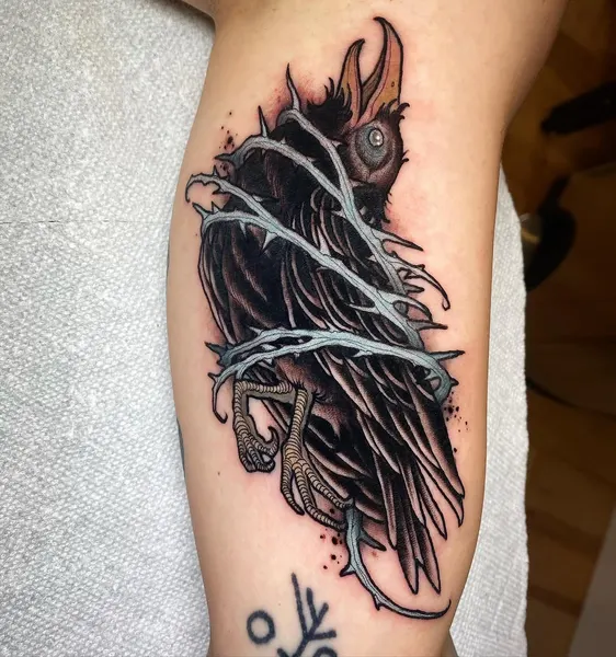 Animal