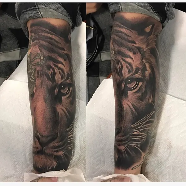 Tiger