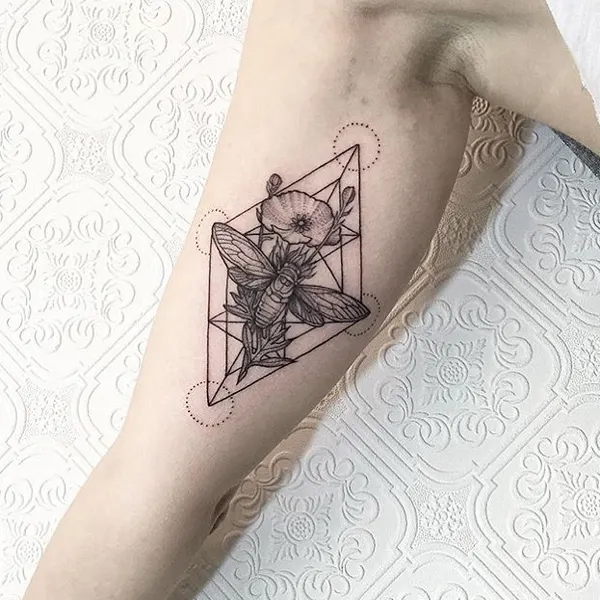 Animal, Nature, Flower, 사각형