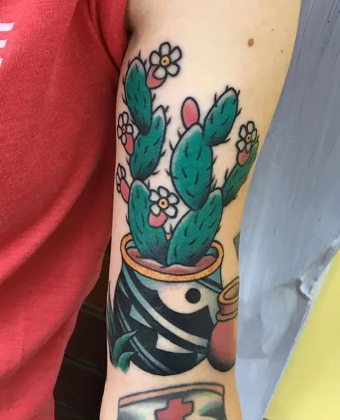 잎, Flower, 깃털, 고사리, 단풍잎