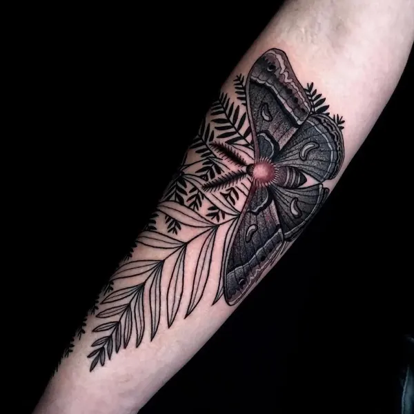 Animal, Nature