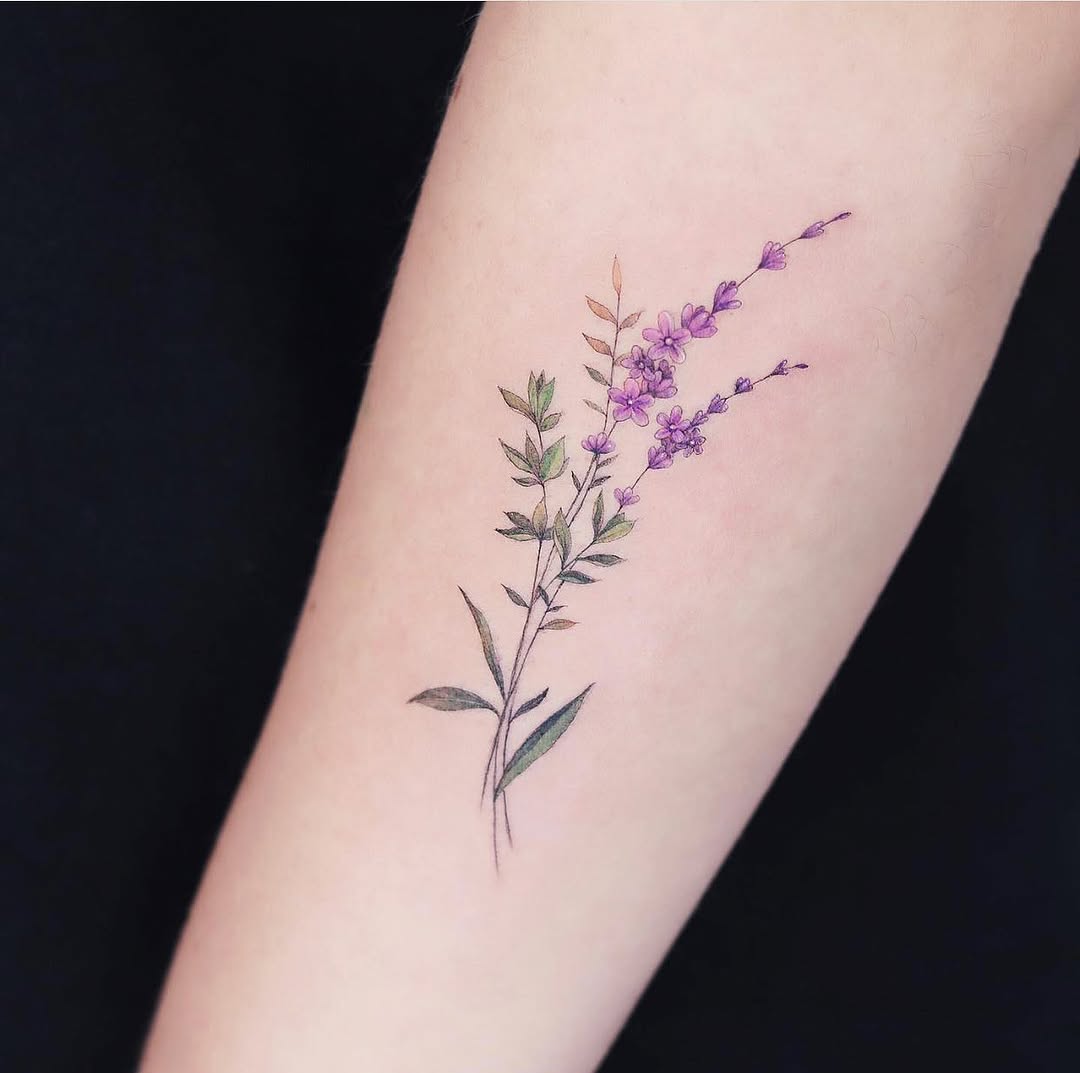 Flower, 풀, 허브, 라벤더, 야생화