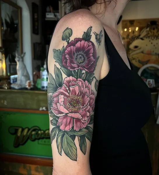 Flower, Rose, Nature