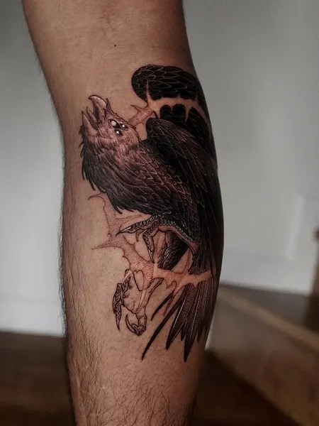 Animal