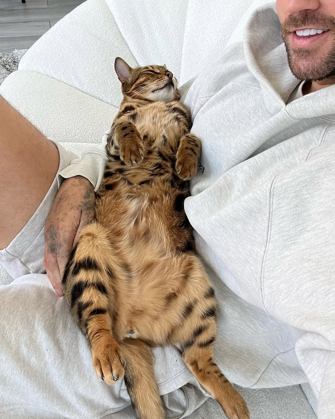 Animal