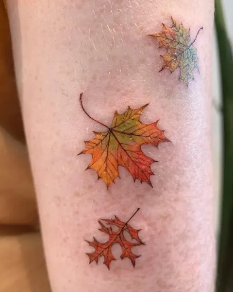 Lettering, Flower, 야생화, 선인장