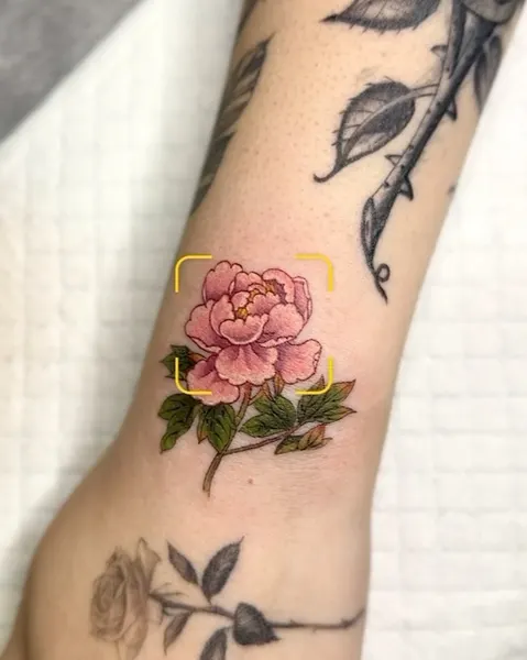 Flower, Rose