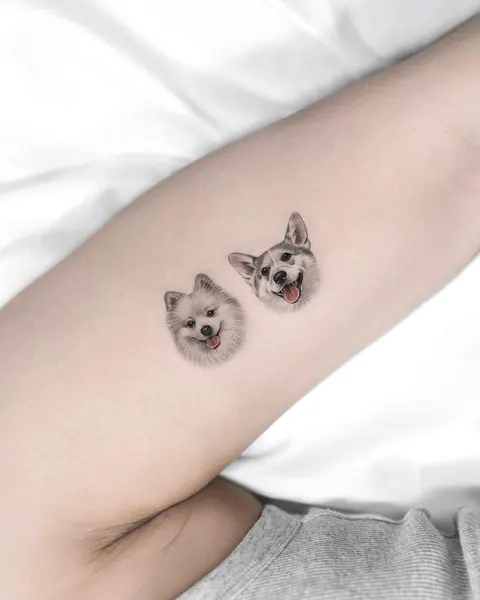 코알라